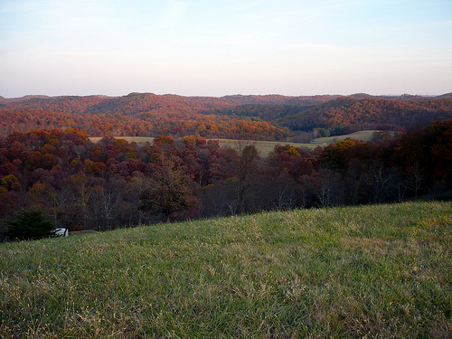 A View from The High Point