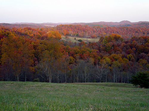 A View from The High Point