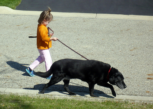 Alana Takes Elwyn for a Walk
