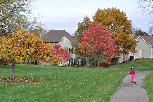 Alana scooters past the colors of autumn