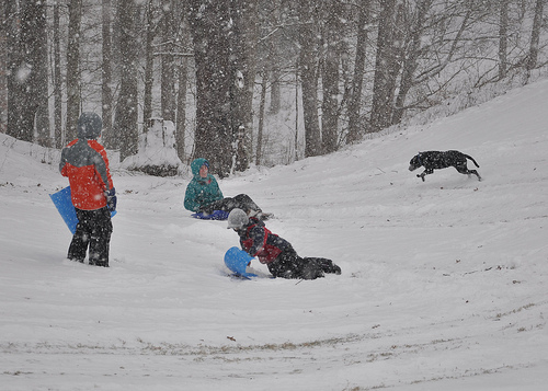 Sledding