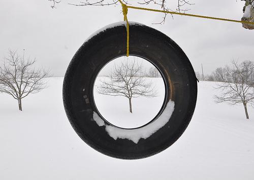 Apple Trees through a Tire