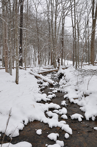 Snow water scene