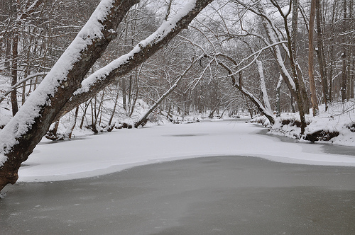 Snow water scene