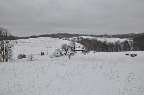 Farm panorama