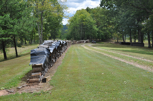 Plenty o' Firewood