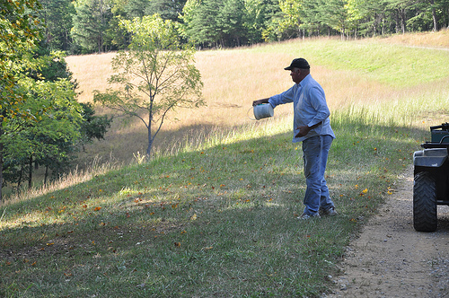 Bob Spreads Corn for the Deer