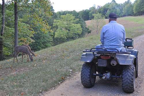 Bob Watches the Deer Come and Get the Corn