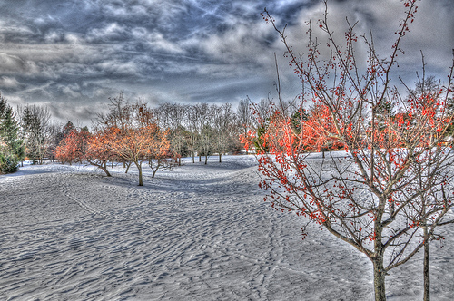 Fun with HDR