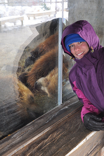 Julie and Two Brown Bears