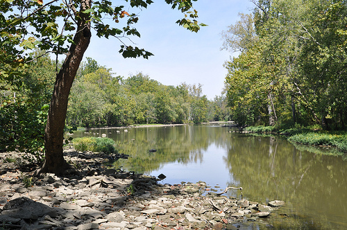 Exploring the Scioto River with Carson