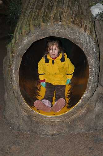 In the tree trunk slide in "My House"