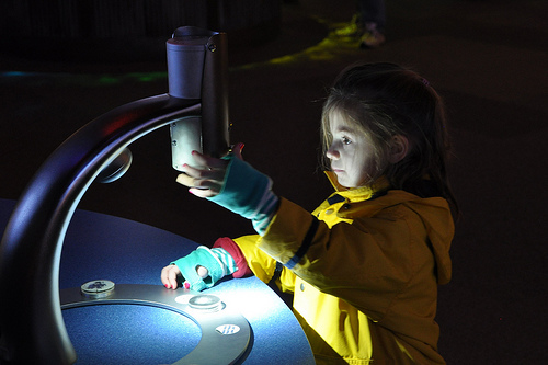 Using the polar bear exhibit microscope