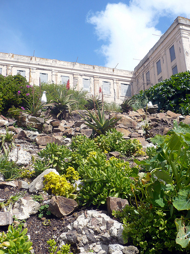 Alcatraz