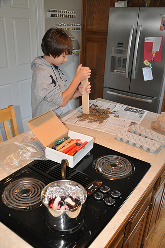 Moose Poop and Sawdust Firestarters