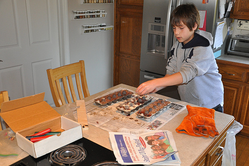 Moose Poop and Sawdust Firestarters